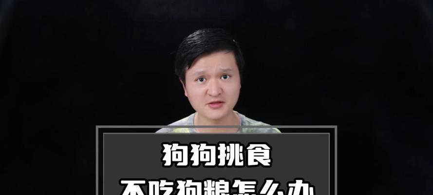 狗狗吃太多狗粮会被撑死吗？（如何处理狗狗吃太多狗粮的情况）