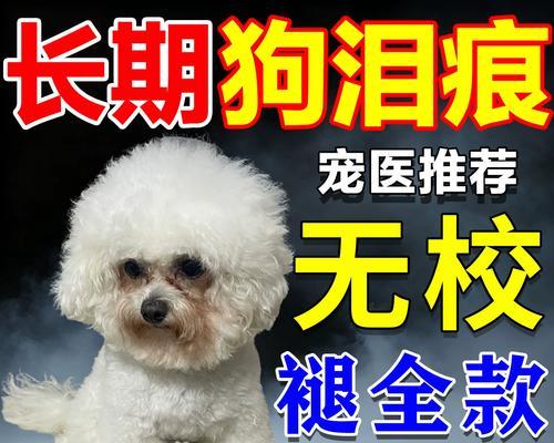 狗狗眼角发炎的原因、治疗方法及预防措施