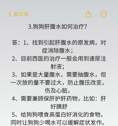 金毛饱腹之道（揭秘金毛肚子的饱与饥）
